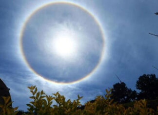 O Que é Esse Círculo que se Forma ao Redor do Sol?