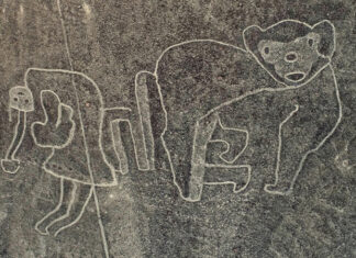 Novos geoglifos são descobertos em Nazca