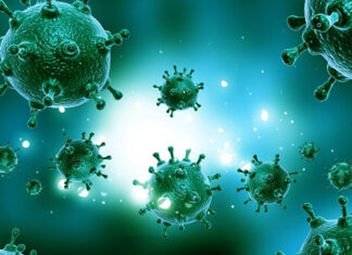 Un océano de Virus en el cielo llueve sobre nuestras cabezas