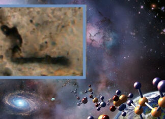 Fósiles de microorganismos antiguos indican que la vida en el universo es abundante