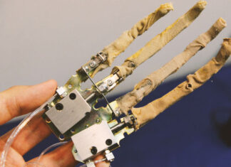 Robot con músculos reales probado por japoneses