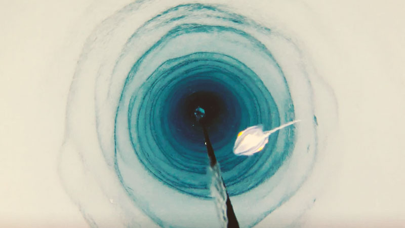 curioustuff_lifeform-1