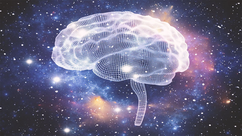 curiustuff_neural-network-1