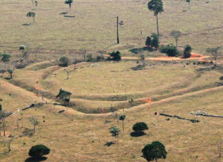 Amazon Rainforest once held millions more than previously thought