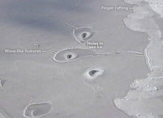 Bizarre circles in the Arctic baffle scientists and even NASA