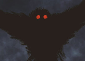 The Supernatural Black Bird of Chernobyl