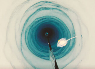 Mysterious Lifeforms Have Been Found Beneath Antarctica