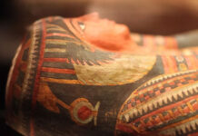Curiosities about Mummies