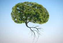 The Intelligence of Plants