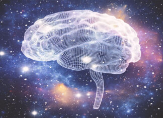 Universe: An Interconnected Neural Network?